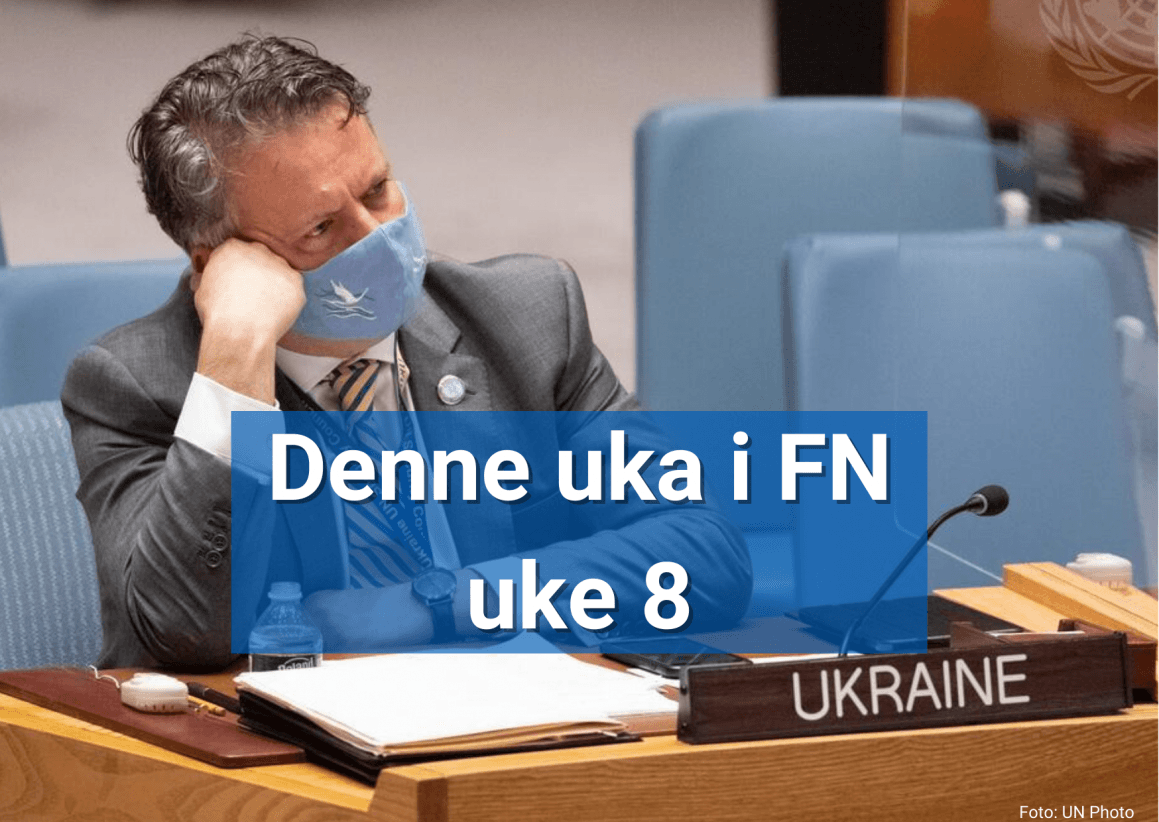 Sergiy Kyslytsya, permanent representant for Ukraina i FN deltok på møte om Ukraina-konflikten i Sikkerhetsrådet. Foto: UN Photo/Evan Schneider